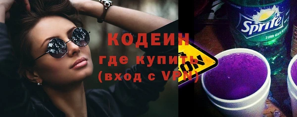 дмт Арсеньев