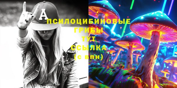 дмт Арсеньев