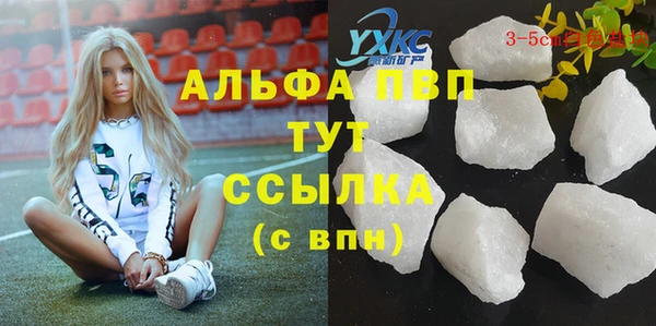 PSILOCYBIN Снежинск