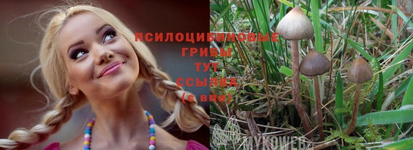 мескалин Армянск