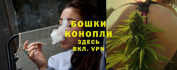 дмт Арсеньев